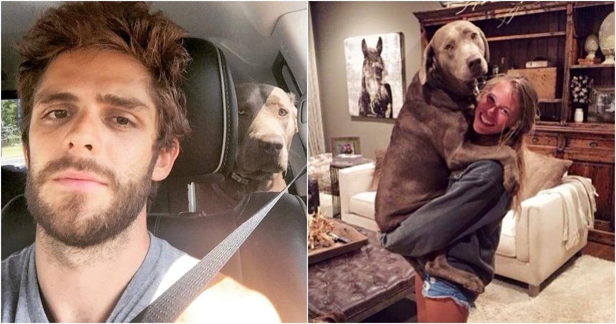 Thomas Rhett Shares Heartbreaking Tribute After the Loss of His Beloved Family Dog, Cash