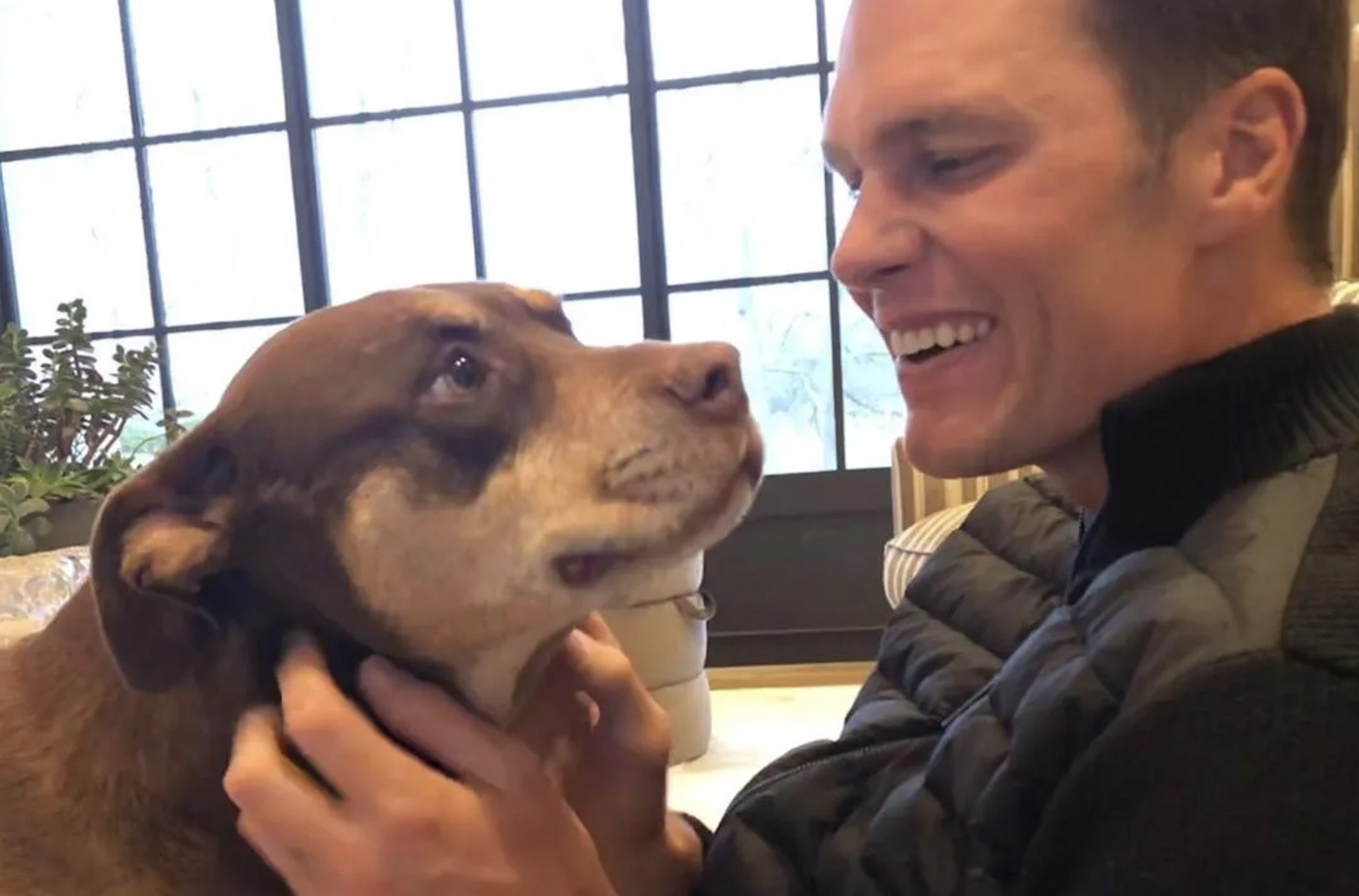 Tom Brady Cloned His Pet Dog That Passed Away In 2023